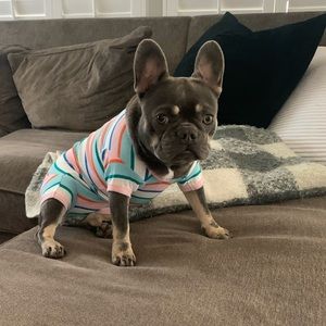 Meet your Posher, Tamara